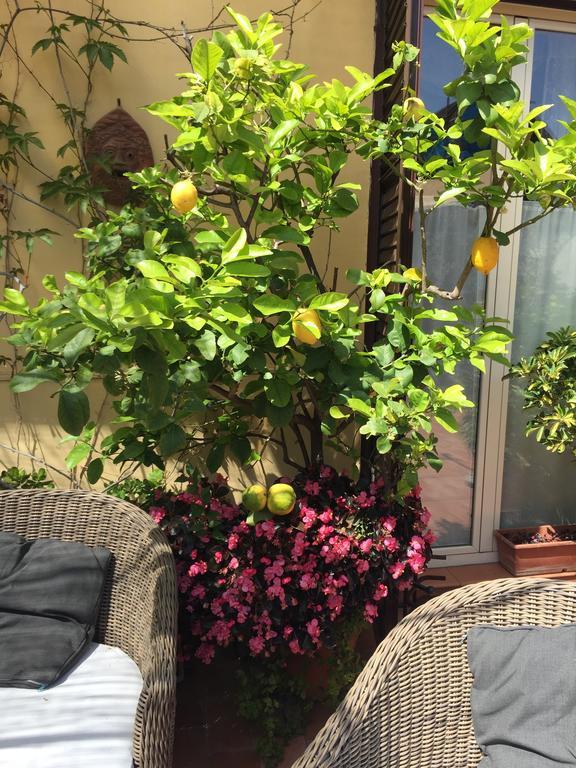 Terrazza Duomo Bed & Breakfast Napoli Dış mekan fotoğraf