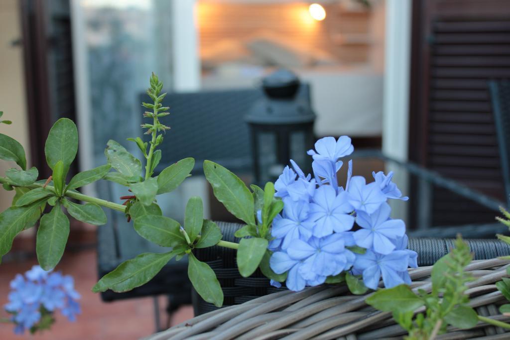 Terrazza Duomo Bed & Breakfast Napoli Oda fotoğraf